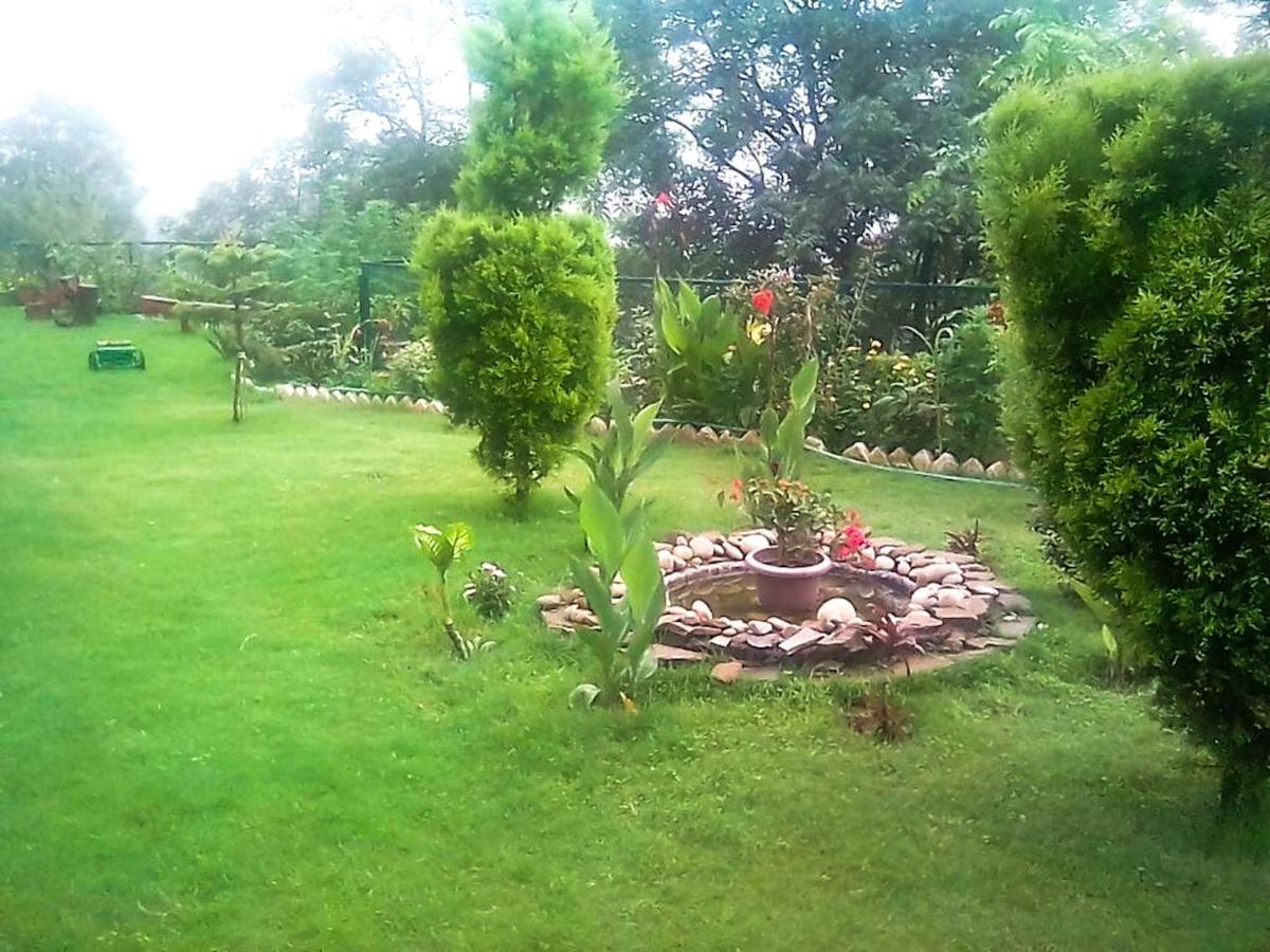 Wildleaf Kasauli Valley Homz Bed & Breakfast Exterior photo